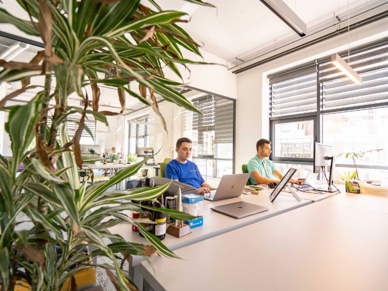 Colleagues working in an office